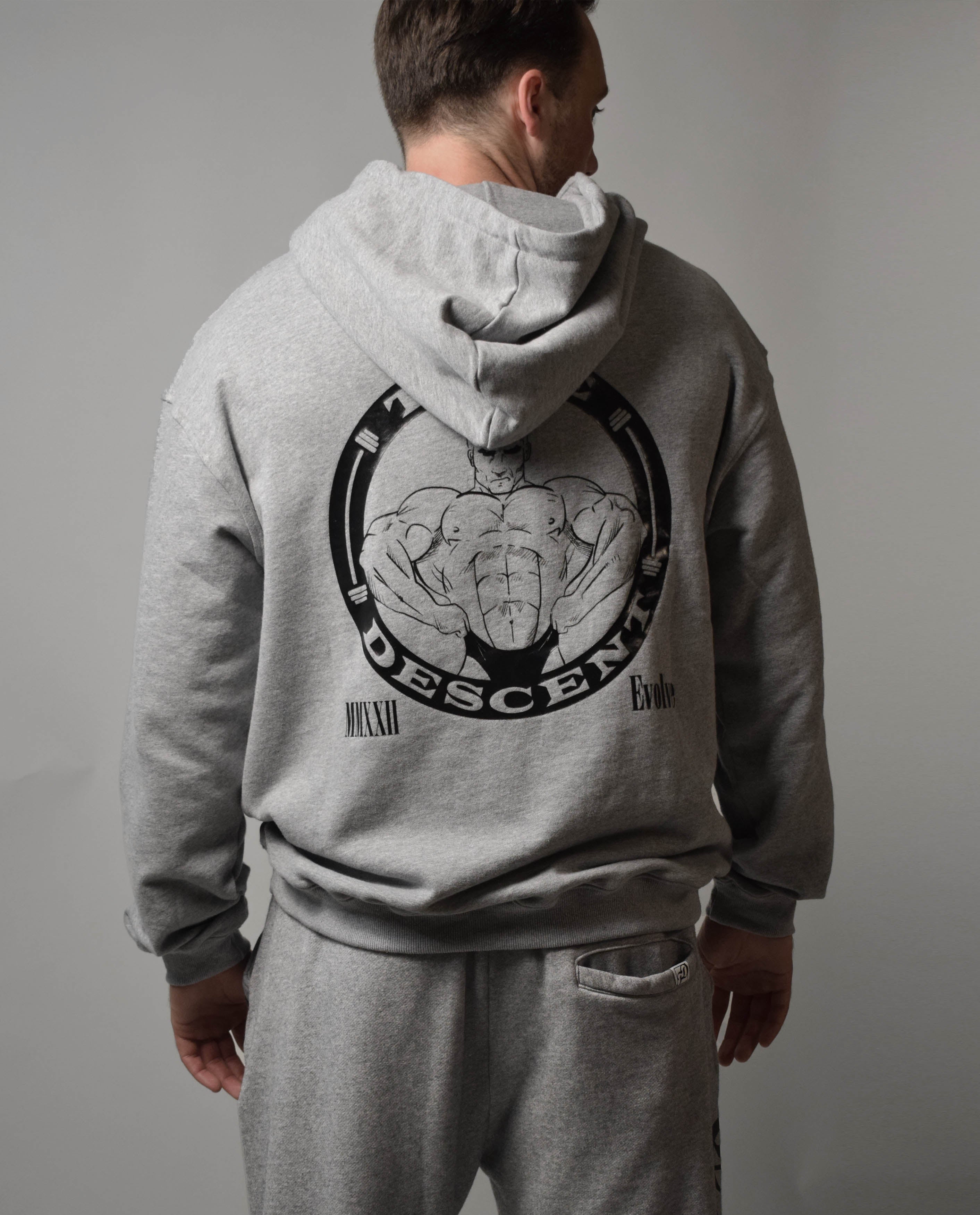 TRUE DESCENT OLD SCHOOL HOODIE (LIGHT GREY)